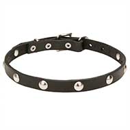 Collare "Shiny Necklace" largo 2 cm per Labrador Retriever