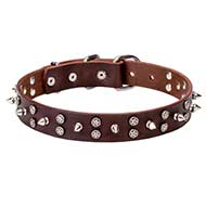 Collare decorato "Star-studded Sky" per Labrador Retriever Collare decorato "Star-studded Sky" per Labrador Retriever