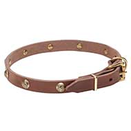 Collare "Stamped Studs" largo 2 cm per Labrador Retriever Collare "Stamped Studs" largo 2 cm per Labrador Retriever