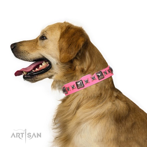 Golden Retriever con il collare di colore rosa