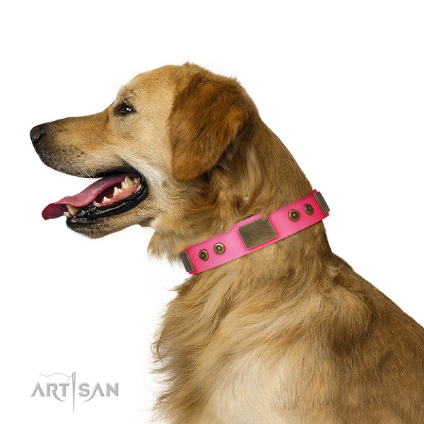 Collare di colore fucsia per Golden Retriever