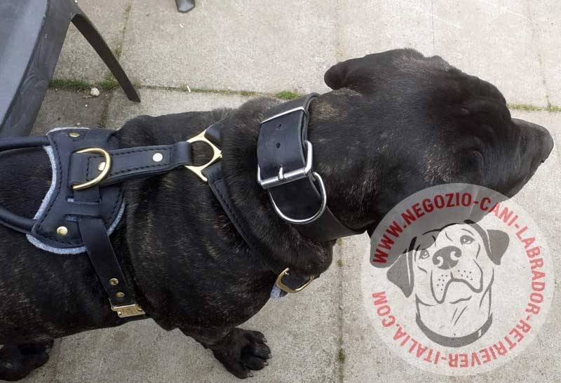 Guinzaglio per cani di grandi dimensioni durevole da 117cm Golden Retriever  collare per cani di taglia media guinzagli corda di piombo forte per  Labrador Husky Rottweiler - AliExpress
