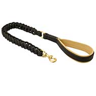 Guinzaglio in pelle "Soft & Fancy" per Labrador Retriever Guinzaglio in pelle "Soft & Fancy" per Labrador Retriever