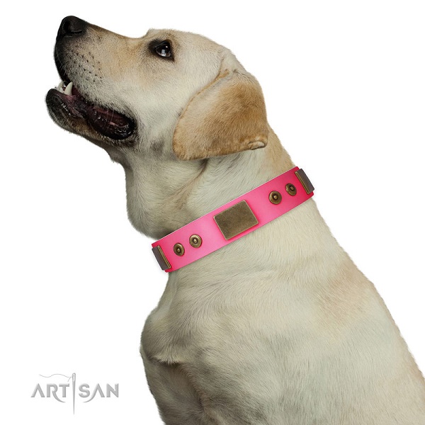 Labrador Retriever con confortevole collare FDT Artisan