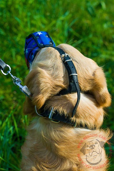 Museruola dipinta a mano per Golden Retriever