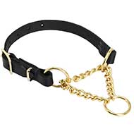 Collare a semistrozzo in pelle e ottone per Labrador Retriever