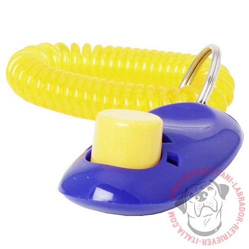 Clicker per addestramento del Labrador Retriever