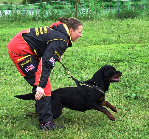 Tuta protettiva per gare sportive e Schutzhund