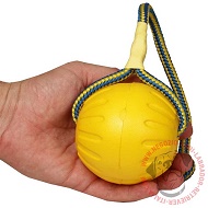 Gioco "Swing'n Fling DuraFoam Fetch Ball", 9 cm di diametro Gioco "Swing'n Fling DuraFoam Fetch Ball", 9 cm di diametro