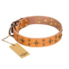FDT Artisan - Collare decorato "Top-Flight" per Labrador FDT Artisan - Collare decorato "Top-Flight" per Labrador