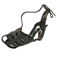 Museruola in pelle "Breathable" per passeggiate con Labrador Museruola in pelle "Breathable" per passeggiate con Labrador