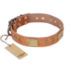FDT Artisan - Collare in cuoio "The Middle Ages" per Labrador FDT Artisan - Collare in cuoio "The Middle Ages" per Labrador