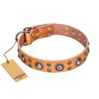 FDT Artisan - Collare di colore tan "Extra Sparkle" per Labrador FDT Artisan - Collare di colore tan "Extra Sparkle" per Labrador