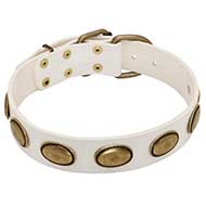 Collare in pelle bianca "Vintage Gem" per Labrador Retriever Collare in pelle bianca "Vintage Gem" per Labrador Retriever