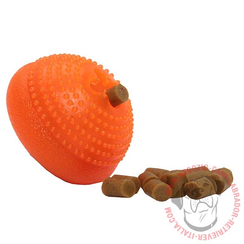 Giocattolo-ciotola per cane