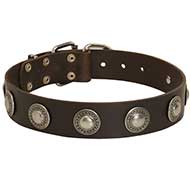 Collare con borchie rotonde stile vintage per Labrador Retriever