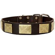Collare in cuoio "Gorgeous War Dog" per Labrador Retriever Collare in cuoio "Gorgeous War Dog" per Labrador Retriever