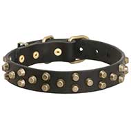 Collare in pelle "Galaxy Trip" per Labrador Retriever Collare in pelle "Galaxy Trip" per Labrador Retriever