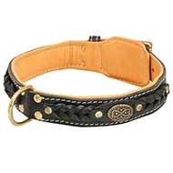 Grazioso collare con decorazioni e morbida fodera per Labrador Grazioso collare con decorazioni e morbida fodera per Labrador