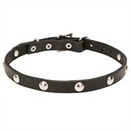 Collare "Shiny Necklace" largo 2 cm per Labrador Retriever Collare "Shiny Necklace" largo 2 cm per Labrador Retriever