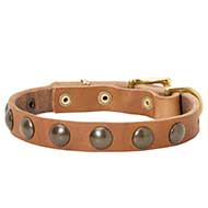Collare in cuoio con semisfere in ottone per Labrador Retriever Collare in cuoio con semisfere in ottone per Labrador Retriever