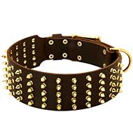Collare extra largo "King Style" per Labrador Retriever Collare extra largo "King Style" per Labrador Retriever