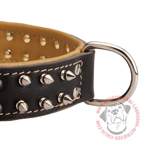 Comodo ed elegante collare in pelle naturale per cane