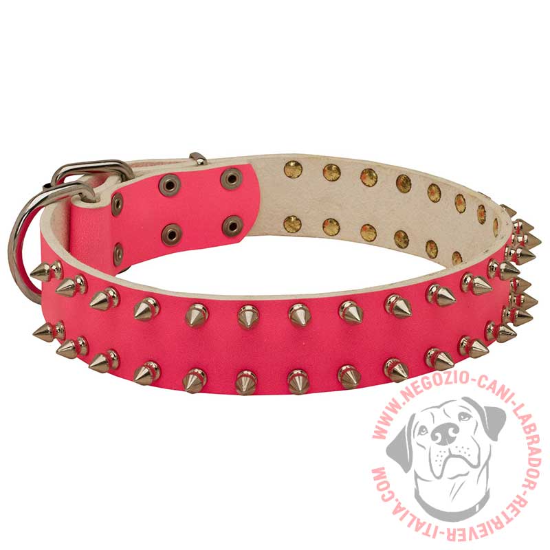 Collare In Pelle Rosa Con Punte Pink Rose Per Labrador S33p10139