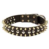 Collare decorato "Four-Pawed Charm" per Labrador Retriever Collare decorato "Four-Pawed Charm" per Labrador Retriever