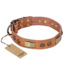 FDT Artisan - Collare di colore tan "Lost Desert" per Labrador FDT Artisan - Collare di colore tan "Lost Desert" per Labrador