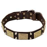 Collare in pelle "Solid Boss" per Labrador Retriever Collare in pelle "Solid Boss" per Labrador Retriever
