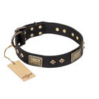 FDT Artisan - Collare in pelle nera "Jewel Passion" per Labrador FDT Artisan - Collare in pelle nera "Jewel Passion" per Labrador