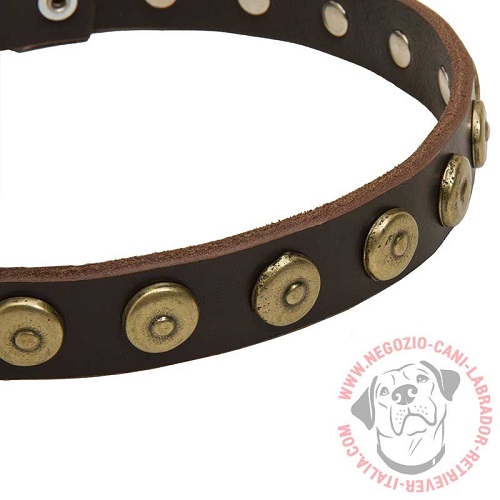 Collare decorato con borchie rotonde
per Labrador Retriever