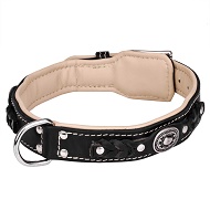 Collare con decorazioni stile vintage e fodera per Labrador Collare con decorazioni stile vintage e fodera per Labrador