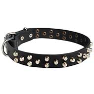 Collare in cuoio decorato "Fancy Studs" per Labrador Retriever Collare in cuoio decorato "Fancy Studs" per Labrador Retriever