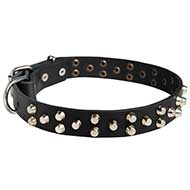 Collare in cuoio decorato "Fancy Studs" per Labrador Retriever