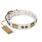 FDT Artisan - Collare bianco "Golden Avalanche" per Labrador FDT Artisan - Collare bianco "Golden Avalanche" per Labrador