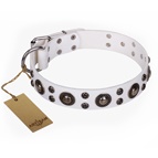 FDT Artisan - Collare bianco"White Jewel" per Labrador FDT Artisan - Collare bianco"White Jewel" per Labrador
