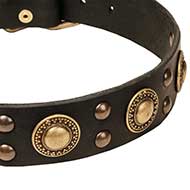 Collare decorato "Golden Knights" per Labrador Retriever Collare decorato "Golden Knights" per Labrador Retriever