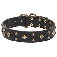Splendido collare con decorazioni per Labrador Retriever Splendido collare con decorazioni per Labrador Retriever