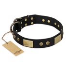 FDT Artisan - Collare in pelle nera "Spanish night" per Labrador FDT Artisan - Collare in pelle nera "Spanish night" per Labrador
