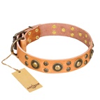 FDT Artisan - Collare "Sophisticated Glamour" per Labrador FDT Artisan - Collare "Sophisticated Glamour" per Labrador