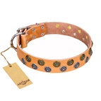 FDT Artisan - Collare in cuoio "Precious Spark" per Labrador FDT Artisan - Collare in cuoio "Precious Spark" per Labrador