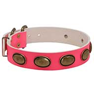 Collare in pelle rosa "Eccentric Style" per Labrador Retriever