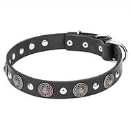 Collare in pelle "Shiny Charm" per Labrador Retriever Collare in pelle "Shiny Charm" per Labrador Retriever