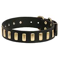 Collare in cuoio "Lead a life of luxury" per Labrador Retriever Collare in cuoio "Lead a life of luxury" per Labrador Retriever
