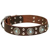 Collare con pietre azzure "Blue Ices" per Labrador Retriever Collare con pietre azzure "Blue Ices" per Labrador Retriever