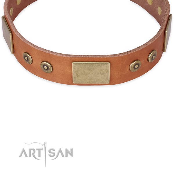 Collare per passeggiate con cane FDT Artisan