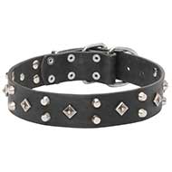 Collare con decorazioni stile argento per Labrador Retriever Collare con decorazioni stile argento per Labrador Retriever