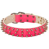 Collare in cuoio rosa "Spiked Holiday Collar Pink" per Labrador